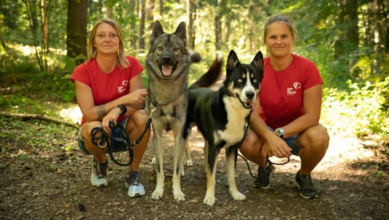 Das Tiersuch-Team von Find my Friend. (Bild: Find my Friend)