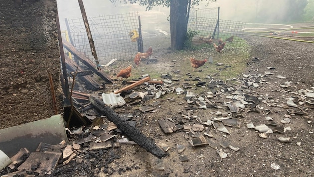 Die Hühner konnten gerettet werden. (Bild: Wolfgang Wanker/FF Töschling)