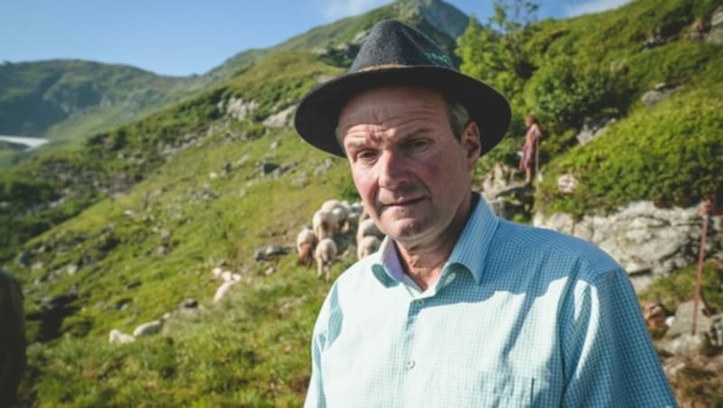 Almobmann Sepp Obweger: „Im Lesachtal und im Unteren Gailtal haben einige Bauern aufgehört, wegen der Wölfe ihre Tiere auf die Alm zu bringen.“ (Bild: Wallner Hannes)