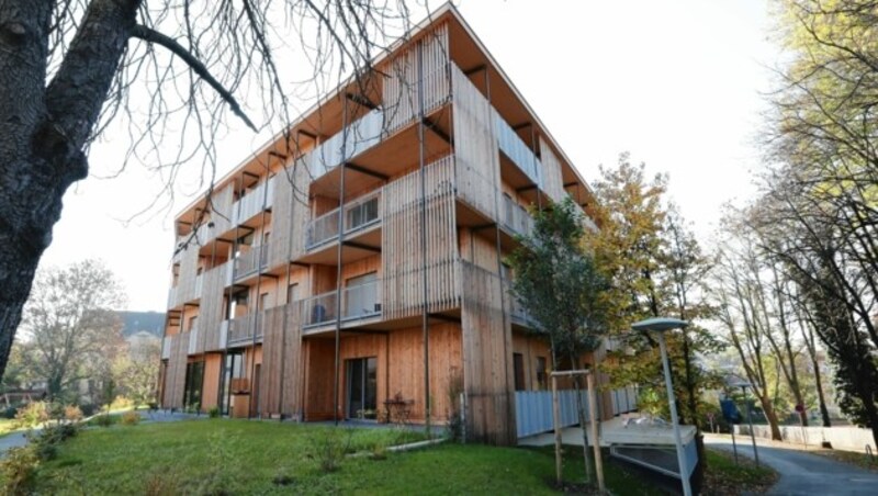 Ein Gemeindebau aus Holz in der Max-Mell-Allee in Graz (Bild: Juergen Radspieler)