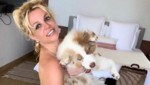 Britney Spears mit Hündchen „Sawyer“ (Bild: instagram.com/britneyspears)