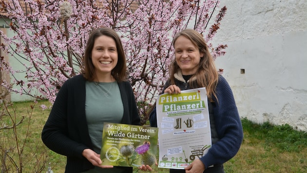 Angela Thüringer und Jennifer Hodosi sind „wilde Gärtner“. (Bild: Charlotte Titz)