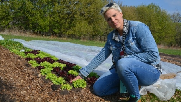 Jennifer Roth se dedica a la horticultura.  Sus hortalizas se plantan en pequeños lechos.  La temporada de cajas de abono comienza de nuevo en mayo.  (Imagen: Charlotte Titz)