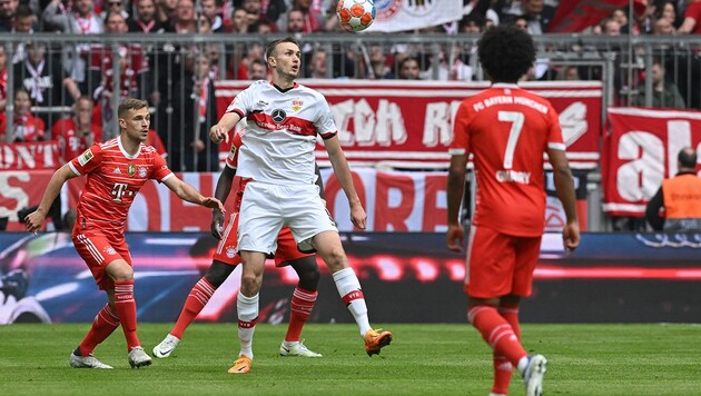 Sasa Kalajdzic beim Duell mit den Bayern (Bild: APA/AFP/KERSTIN JOENSSON)