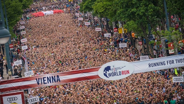 In der Wiener Innenstadt fand am Muttertag mit dem "Wings for Life Run" ein großer Benefizlauf statt. (Bild: APA/WWW.REDBULLMEDIAHOUSE.COM/ULRICH AYDT)