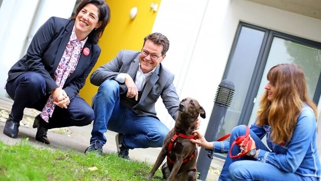 Der Wiener Tierschutzstadtrat Jürgen Czernohorszky beim Lokalaugenschein mit ...