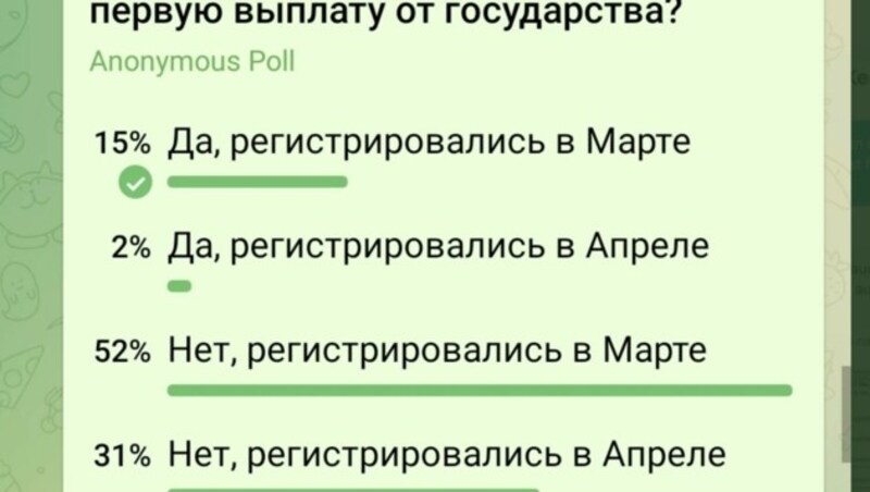 Auf Telegram machte Jenia eine Umfrage (Bild: zVg)