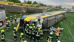 Knapp 100 Feuerwehrleute waren im Einsatz. (Bild: Pressestelle BFK Mödling / Lukas Derkits)