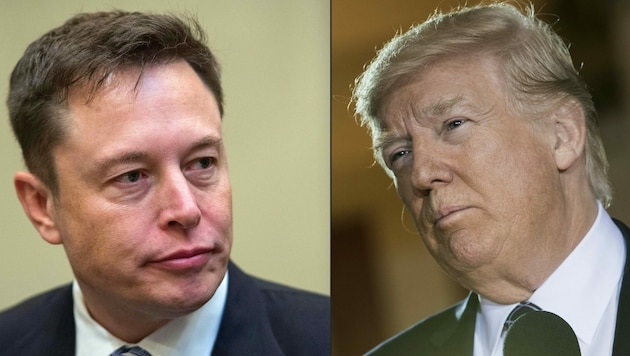 Für Elon Musk war die Verbannung des Ex-Präsidenten von Twitter ein Fehler. (Bild: APA/AFP/NICHOLAS KAMM, Brendan Smialowski)