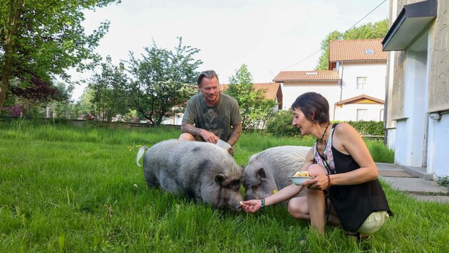 Sara Z. und ihr Freund Kurt mit den zwei zahmen Minischweinen „Bacchus“ und „Mitra“. (Bild: Scharinger Daniel)