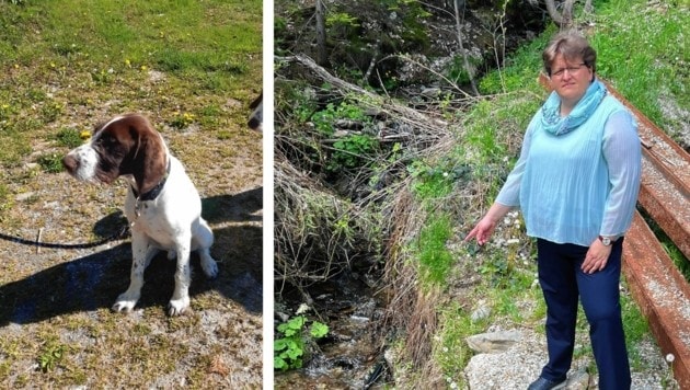 Bürgermeisterin Silvia Karelly trauert um ihren Hund „Emil“. (Bild: Fredl, zVg)