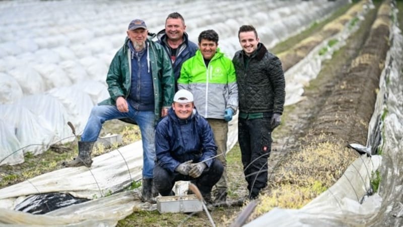 Lindinger mit Erntehelfern aus Polen (Bild: Alexander Schwarzl)