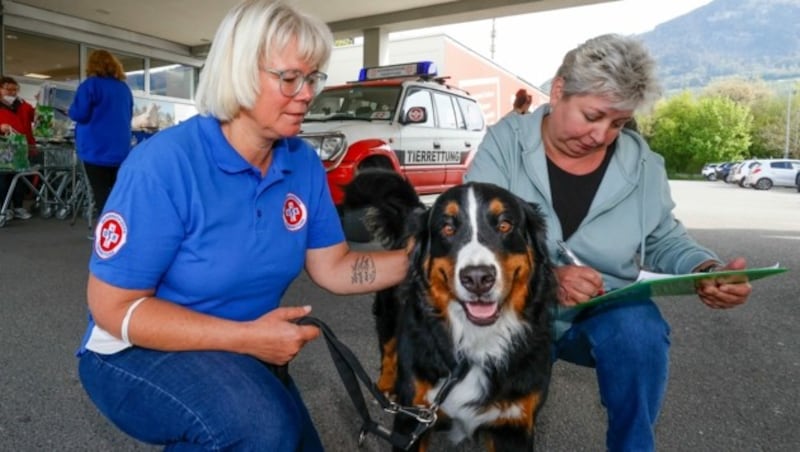 Noch 700 Unterschriften fehlen den Tiersanitätern. (Bild: Tschepp Markus)