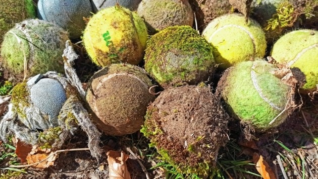 Verrottete Tennisbälle auf der Marswiese sorgen für Probleme. (Bild: Irene Holloway)