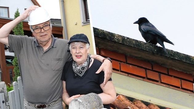 Margarethe und Peter Ebner gehen wegen der Krähe nur noch mit Kopfbedeckung vor die Tür. (Bild: Krone KREATIV, Christian Jauschowetz)