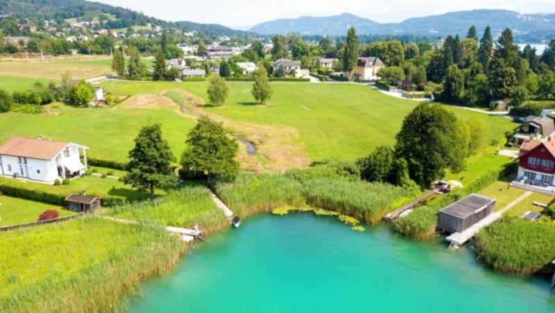 Das Buberlemoos ist laut Grünen und Anrainern ein Naturjuwel. (Bild: Daniel Kattnig/ smartlake)