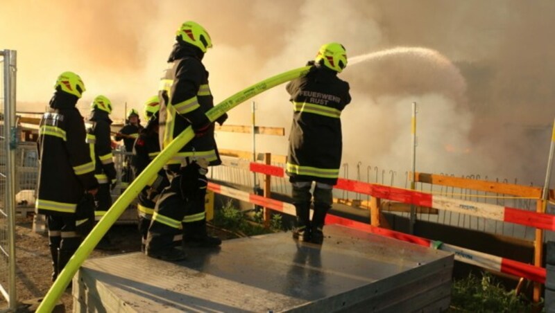 (Bild: APA/BFKDO TULLN/STEFAN OELLERER)