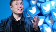 Seit der Tech-Milliardär Musk Twitter gekauft hat, geht es dort drunter und drüber. (Bild: AFP, stock.adobe.com, Krone KREATIV)