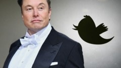 Seit der Tech-Milliardär Musk Twitter gekauft hat, geht es dort drunter und drüber. (Bild: AFP, Krone KREATIV)