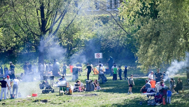 Derartige Bilder wie 2018 am Linzer Donauufer in St. Margarethen gehören im Sinne der leidgeplagten Anrainer zum Glück der Vergangenheit an. (Bild: Dostal Harald)