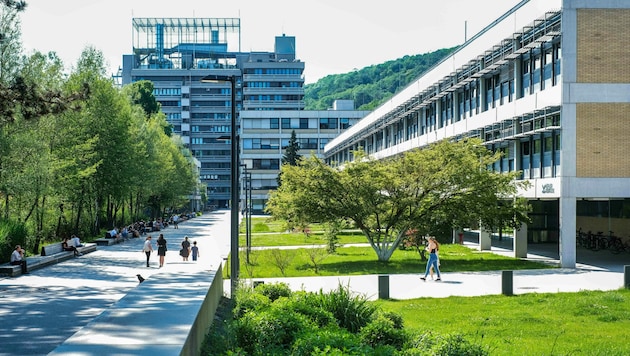 Neben der JKU Linz soll die neue Digital-Uni entstehen. (Bild: Horst Einöder/Flashpictures)