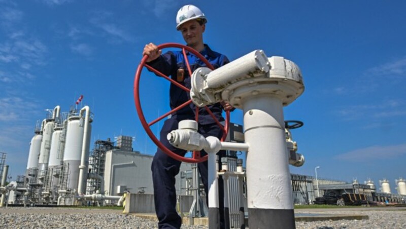 Viele Junge sehene Nutzung von Erdgas wegen Umweltbedenken skeptisch. (Bild: APA/AFP/JOE KLAMAR)