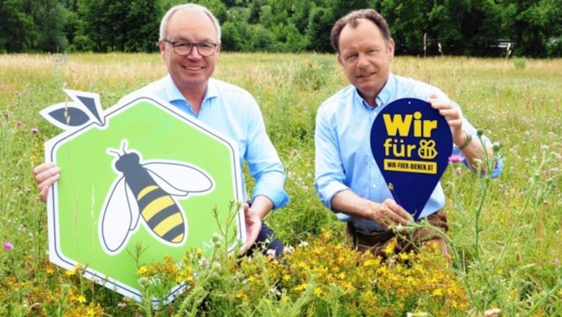 „Wir für Bienen“ - Stephan Pernkopf und Markus Hoyos (rechts) (Bild: Gabriele Moser)