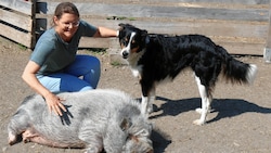 Willemine Van Ee kümmert sich mit freiwilligen Helfern um die 120 Nutztiere. (Bild: Fischer Claudia)