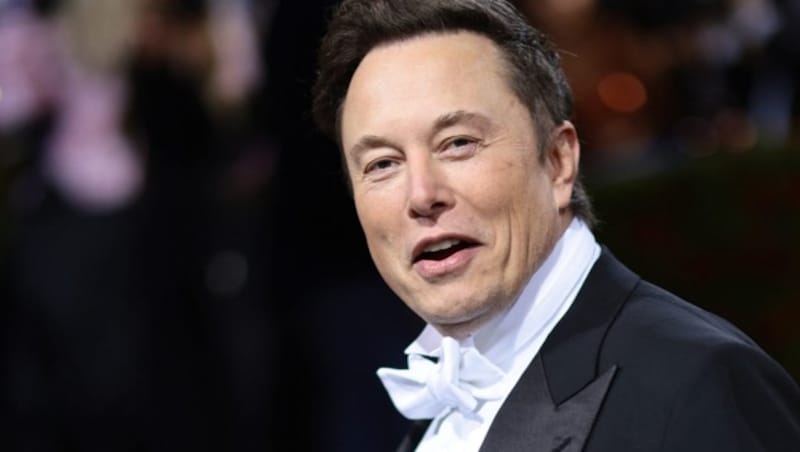 Tesla boss Elon Musk (Bild: AFP)