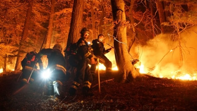 Wie schnell ein Waldbrand außer Kontrolle geraten kann, hat jener in Hirschwang gezeigt. (Bild: Einsatzdoku.at)