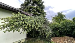 Der Baum stürzte vom Nachbargrundstück auf das Haus. (Bild: Schulter Christian)