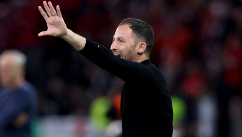 Belgien-Trainer Domenico Tedesco (Bild: AFP or licensors)