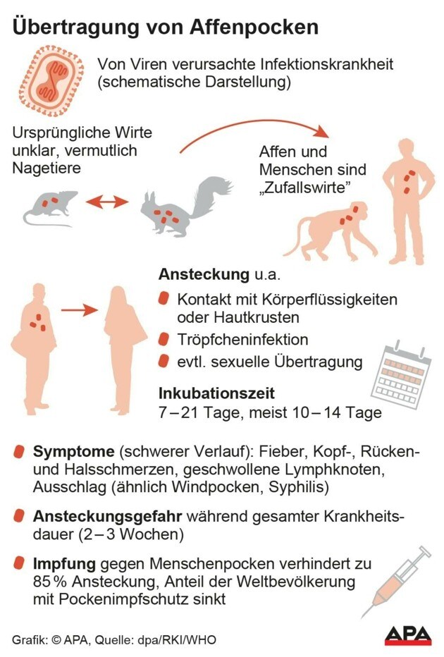 Schematische Darstellung des Affenpockenvirus und dessen Übertragungswege (Bild: APA)