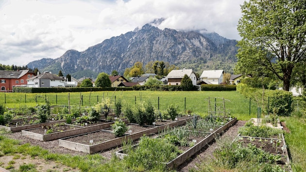 Ein aktuelles Projekt in Anif: der Gemeinschaftsgarten für die Bürger. (Bild: Tschepp Markus)