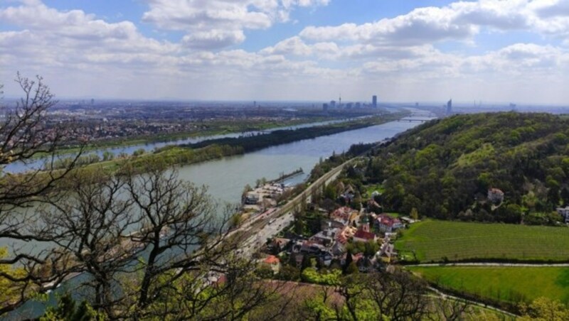 Ausblick vom Nasenweg auf dem Stadtwanderweg 1 bzw. Stadtwanderweg 1a (Bild: Leserreporterin mrt)