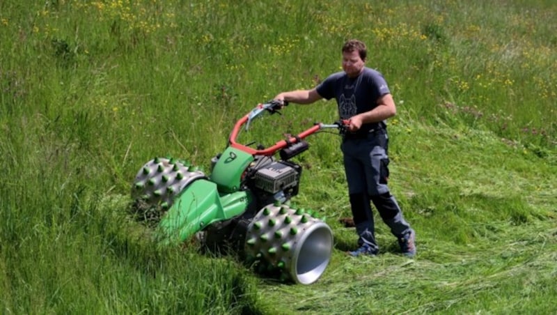 Landwirt Peter Höller kämpft um 2,5 Hektar Grünland direkt neben seinem Bauernhaus, das er in der Not verkauft hat. (Bild: Roland Hölzl)