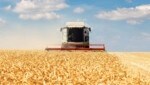 Wegen ihrer fruchtbaren Böden ist die Ukraine einer der wichtigsten Weizenexporteure weltweit. (Bild: stock.adobe.com)