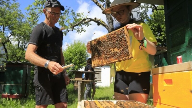 Von Opa Stefan hat die 12-Jährige so manchen Kunstgriff gelernt. Doch während der Senior gänzlich auf jede Art von Schutzkleidung verzichtet - „Wir haben brave Bienen“ -, hat sich die Enkelin einen Imkerhut aufgesetzt. (Bild: Birbaumer Christof)