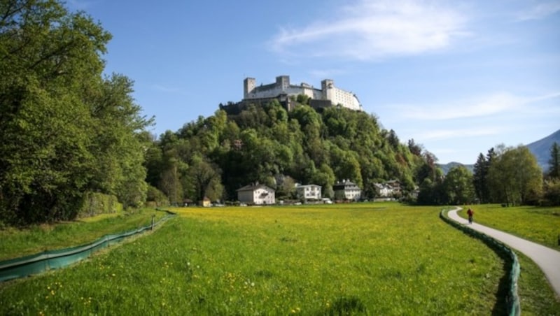 Die sichtbaren Bauarbeiten werden am Krauthügel durchgeführt. Das Naherholungsgebiet wird dadurch empfindlich gestört. Am 26. Juni werden die Stadt-Salzburger in einer Bürgerbefragung zum Projekt befragt. (Bild: Tröster Andreas)