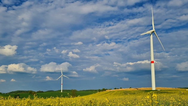 1,240.000 Megawattstunden produziert die W.E.B in einem Jahr – genug sauberer Strom für 930.000 Menschen. Der Waldviertler Anbieter, der in acht Ländern auf zwei Kontinenten vertreten ist, verfügt über 6900 Investoren und 193 Mitarbeiter. (Bild: EXPA/ Eibner/ Augst)