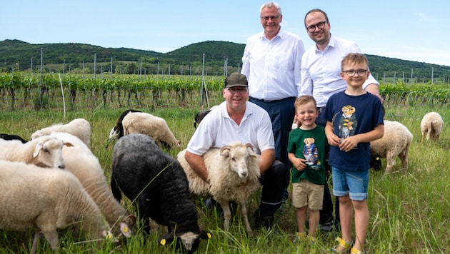 Bürgermeister Thomas Steiner und Vizebürgermeister Istvan Deli besuchten die Schafsherde von Wagner, die künftig als Rasenmäher zum Einsatz kommen. (Bild: Stadtgemeinde Eisenstadt)