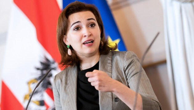 Justizministerin Alma Zadic (Grüne) (Bild: APA/GEORG HOCHMUTH)