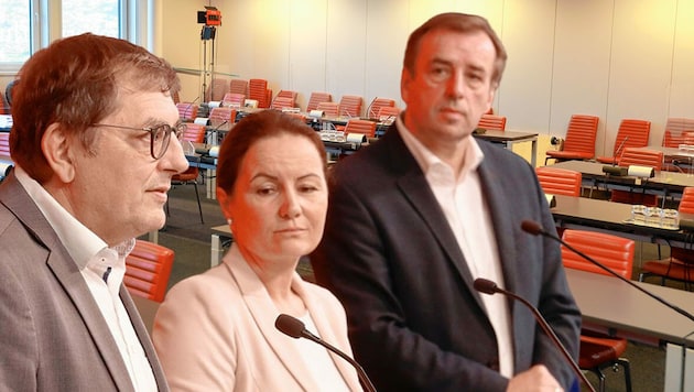 Experte Helmut Herlicska, Cornelia Ecker und Christian Drobits warnten vor leeren Grundwasserspeichern. Diese sind aber nicht so leer wie der Saal bei der Pressekonferenz. (Bild: Krone KREATIV, Zwefo)