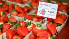 Kilopreise jenseits der 10-Euro-Marke sind bei Erdbeeren derzeit schon fast normal (Bild: Alexander Schwarzl)