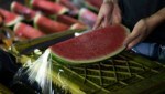 Das wilde Partyvolk soll zu Pfingsten in Lignano keine Wassermelonen verzehren dürfen. (Bild: AFP/Yuri CORTEZ)