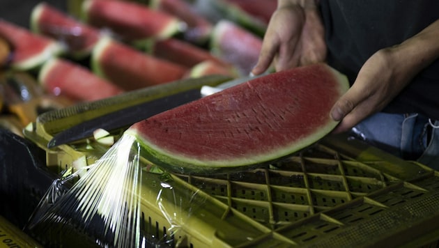 Das wilde Partyvolk soll zu Pfingsten in Lignano keine Wassermelonen verzehren dürfen. (Bild: AFP/Yuri CORTEZ)