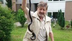 Reptilienexperte Esterbauer fing vor dem Wohnblock in Steyr binnen drei Tagen zwei prächtige Äskulapnattern ein. (Bild: Esterbauer)