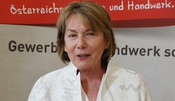 Sonja Zwazl, Ex-Präsidentin der WKNÖ betont, das Fest nicht geplant zu haben. (Bild: zwefo)