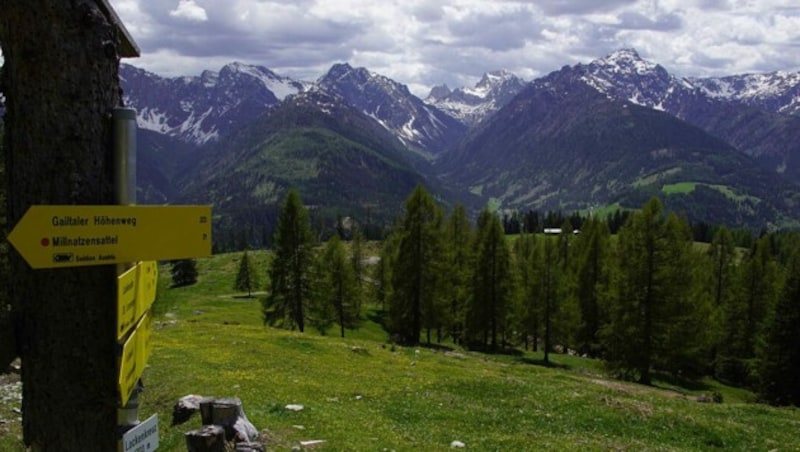 Blick von den Gailtaler Alpen in Richtung Karnische Alpen (Bild: Gerhard Hohenwarter)