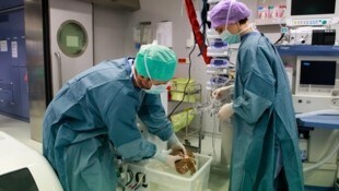 Innsbruck gehört zu den führenden Transplantationszentren Europas. Im Vorjahr wurden hier 202 ...